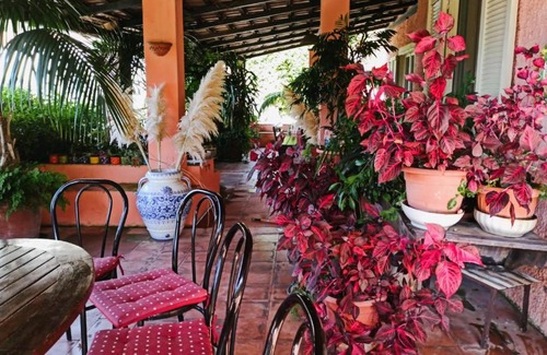 Maratea Apartamento | The Secret Garden Maratea - Casa di Elena