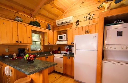 Coalmont Cabina | Pine Ridge Ranch - la planta de semillero - Cabina de registro en maderas de ~ TN ~