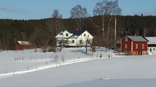 Prasthog Cama Y Desayuno | The Sheep Inn B&B