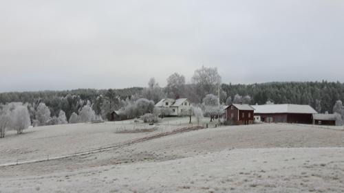 Prasthog Cama Y Desayuno | The Sheep Inn B&B