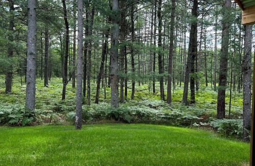 South Boardman Cabina | The Shire, a fun cabin retreat. Warm and cozy, nestled trailside in the woods.