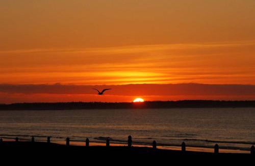Old Orchard Beach Hotel | The Skylark Beach Inn