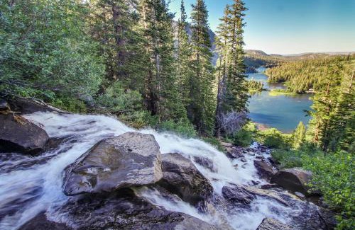 Shaver Lake Apartamento | The Sleepy Hollow