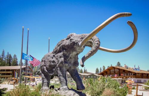 Shaver Lake Apartamento | The Sleepy Hollow