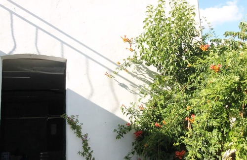 Le Somail Apartamento | El jardín de Somail