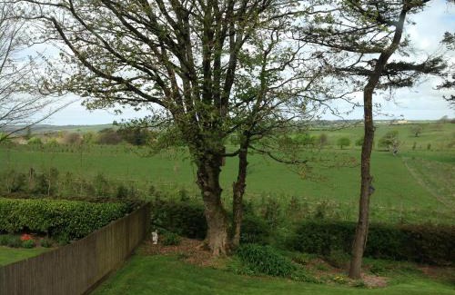 Barnstaple Cama Y Desayuno | The Spinney