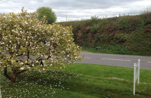 Barnstaple Cama Y Desayuno | The Spinney