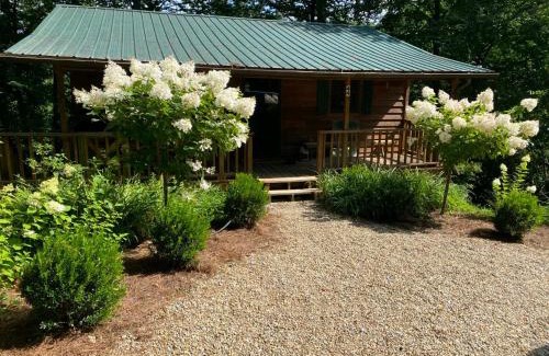 Highlands Casa | The Spotted Owl