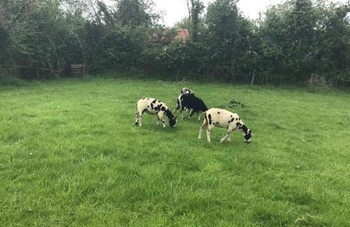 Wedmore Apartamento | The Stable Poplar Farm