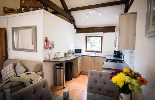 Devon Cabaña | The Stables - Fully accessible dog friendly with a hot tub
