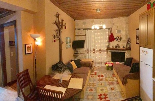 Karpenisi Casa | The Stone House (Gorianades)