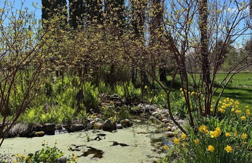 Beaver Island Casa | The Stone House of Beaver Island