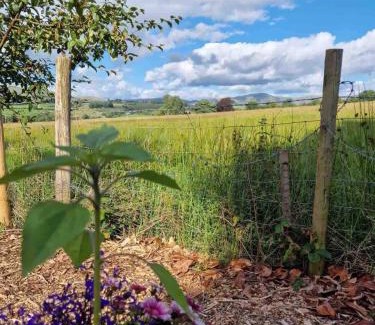 Kendal Casa | The Studio at Pinethwaite