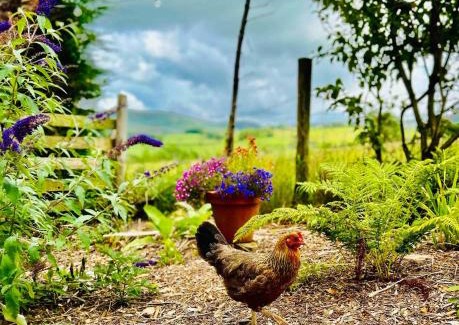 Kendal Casa | The Studio at Pinethwaite