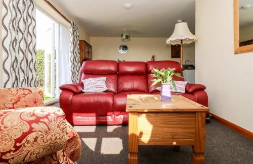 Low Catton Casa | The Studio