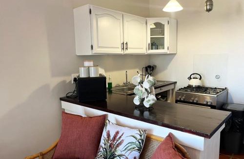 Old Place Apartamento | The Studio on Boekenhout
