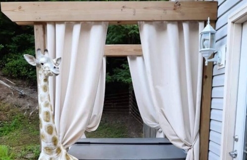 Wilkesville Casa | The Suite at The Ridge