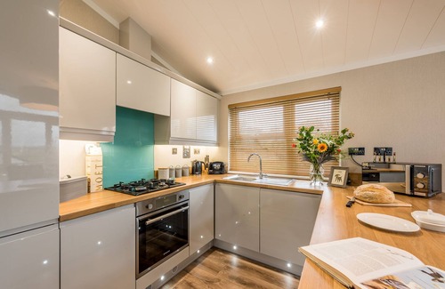 Otterham Apartamento | The Summerhouse Lodge-Baño con ducha-Vista al campo-Lodge