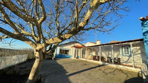 Lourinha Casa | The Sunset Spot