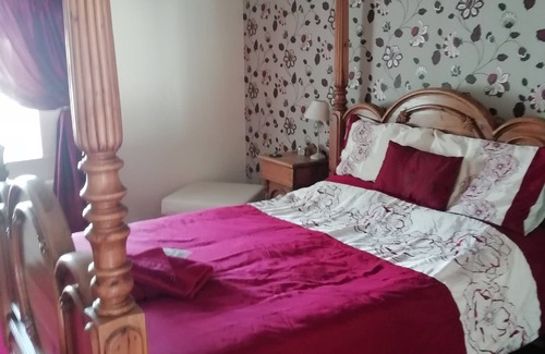 Carlisle Casa | The Sycamore Tree