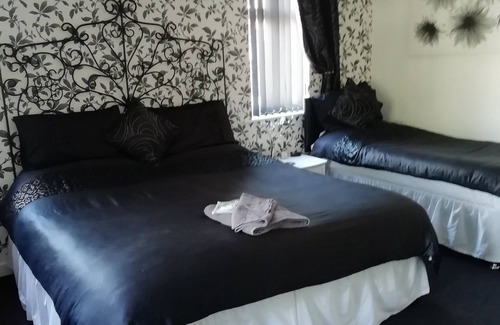 Carlisle Casa | The Sycamore Tree