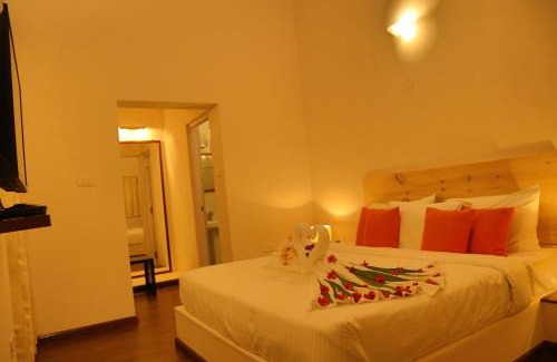 Ooty Cama Y Desayuno | The Tamarillo
