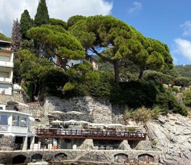 Zoagli Apartamento | The terrace on Portofino Appartamento Terrazzo Portofino