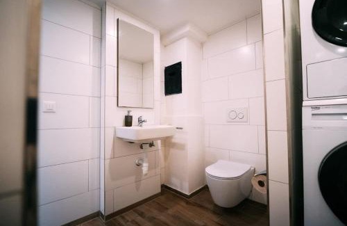 Brienz Apartamento | The Timber Studio in Brienz