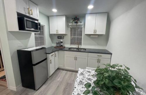 Altamonte Springs Chalet De Esquí | The Tiny Cottage in the Springs/Central FL