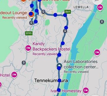 Tennekumbura Cabina | The Traveller Kandy