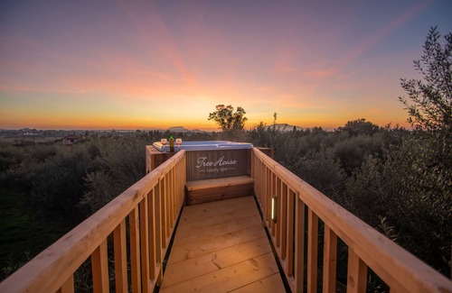 Agia Marina Casa | The Tree House at Zante Lagos