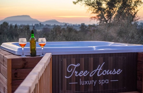Agia Marina Casa | The Tree House at Zante Lagos