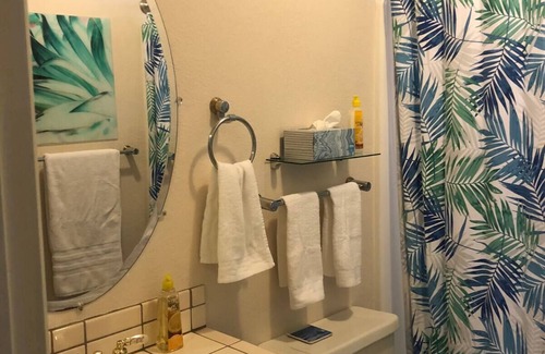 Bluff Heights Casa | “The Tree House” near beach, 2King beds, free parking