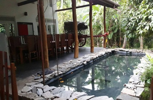 Polpithigama Casa | The Tree