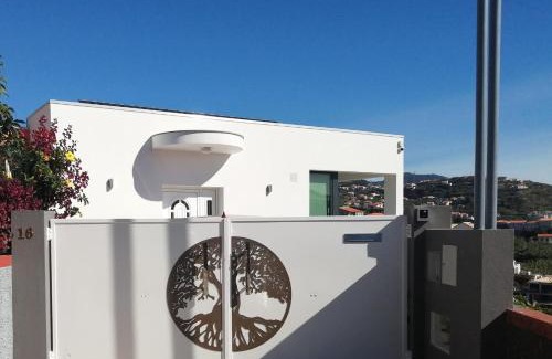 Canhas Casa | The Tree of Life House