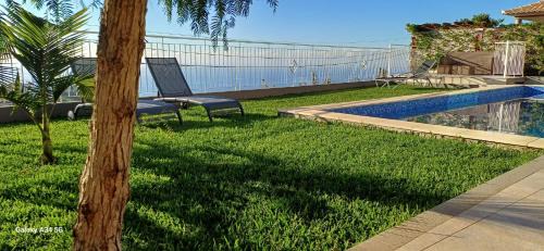 Canhas Casa | The Tree of Life House