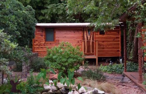 Travis Heights Casa | The Treecycle