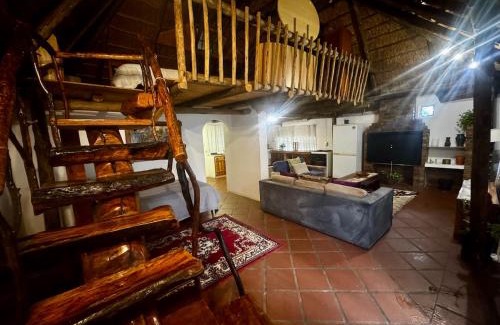 Pretoria Casa | The Treehouse