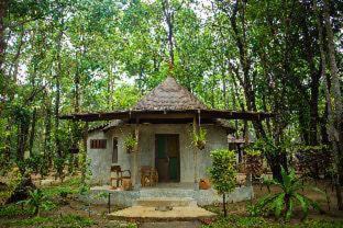 Khong Koi Beach Cabina | The Tropical Beach Resort