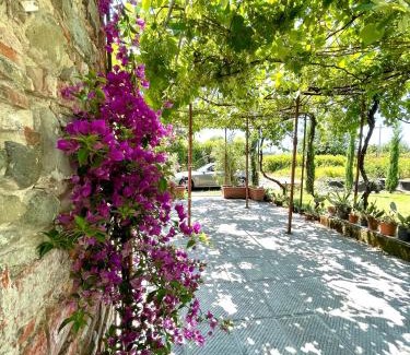 Pistoia Casa | The Tuscany Rose
