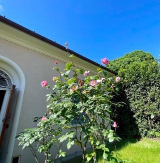 Pistoia Casa | The Tuscany Rose