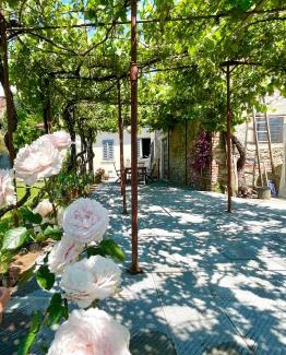 Pistoia Casa | The Tuscany Rose
