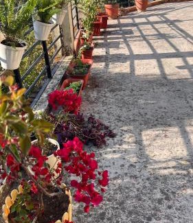 Lansdowne Casa | The Umri Lansdowne, 4-bedroom homestay