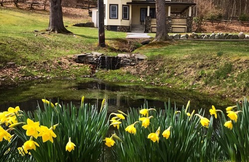 Millrift Casa | The Victorian at Bluestone Falls