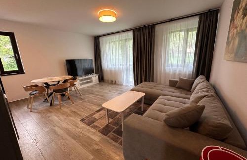 Busteni Apartamento | The View Apartment 3 Bușteni
