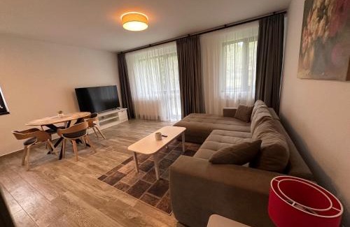 Busteni Apartamento | The View Apartment 3 Bușteni