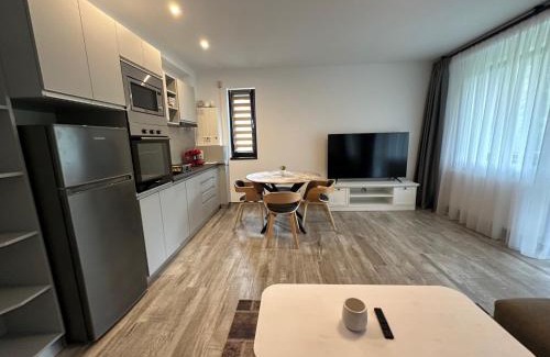 Busteni Apartamento | The View Apartment 3 Bușteni
