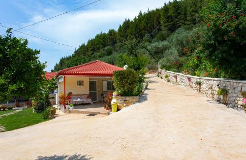 Fanari Casa | The View