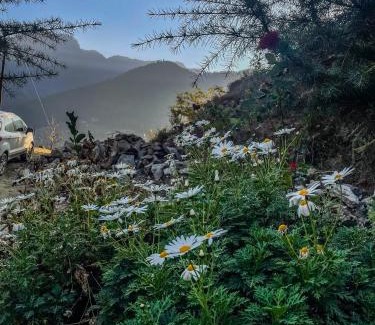 Banjar Casa | The VOID - Tirthan Valley