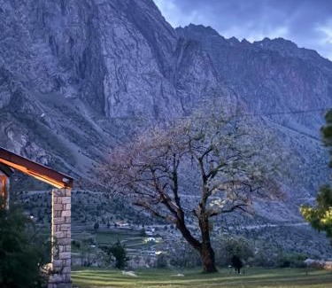 Naltar Valley Otro | The Walnut Tree Lodge, Naltar